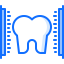 Molar icon 64x64