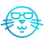 Cool icon 64x64