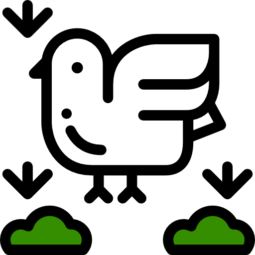 Dove 图标