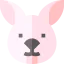 Bunny icon 64x64