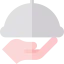 Serving icon 64x64