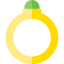 Ring icon 64x64