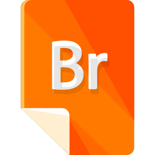 BR icon