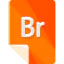 BR icon 64x64