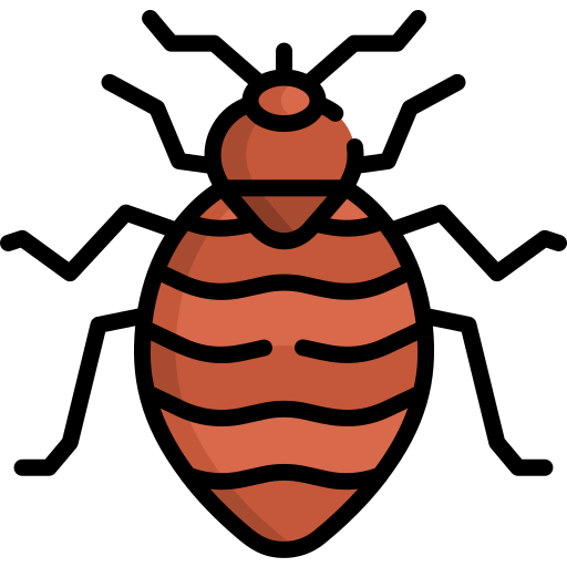 Bed bug icon