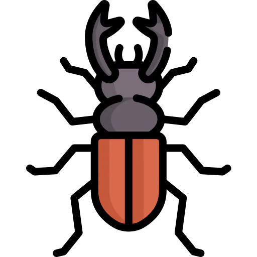 Beetle icon