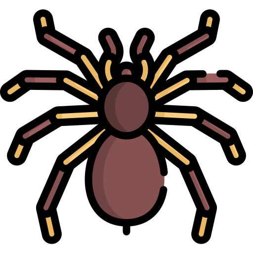 Tarantula icon