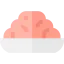 Minced meat icon 64x64