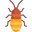 Madagascar hissing cockroach icon 64x64