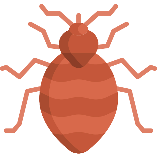 Bed bug icon