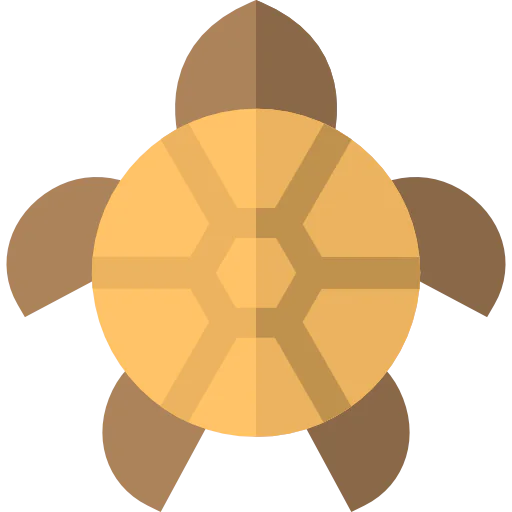 Tortoise icon
