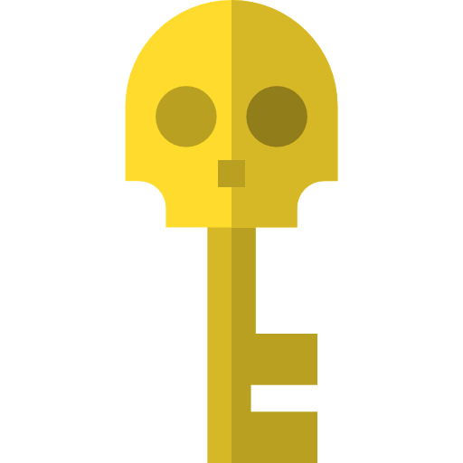 Key icon