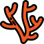 Coral icon 64x64