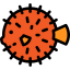 Blowfish icon 64x64