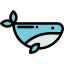Whale icon 64x64