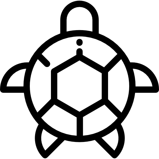 Turtle 图标