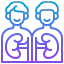 Kidney biểu tượng 64x64