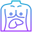 Liver icon 64x64