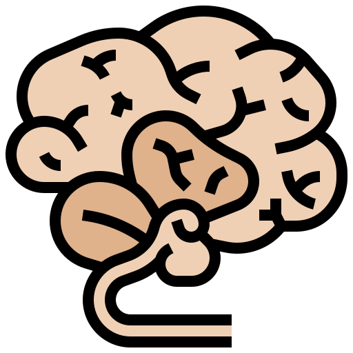 Brain icon