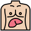 Liver icon 64x64