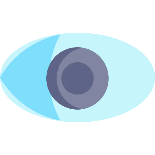 Visible icon