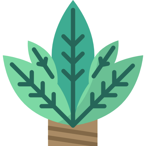 Растение иконка