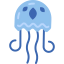 Jellyfish icon 64x64