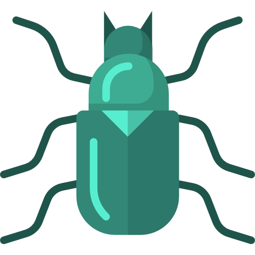 Beetle icon