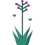 Hyacinth icon 64x64