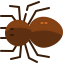 Spider іконка 64x64