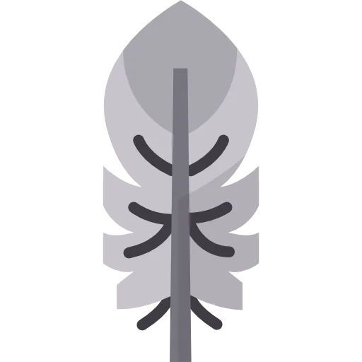 Feather icon