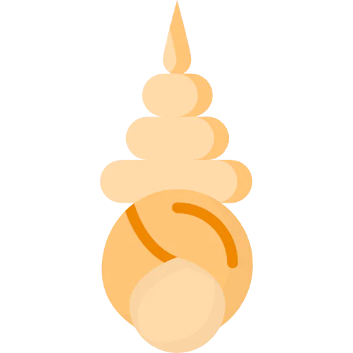 Seashell アイコン