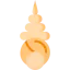 Seashell icon 64x64