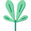 Leaf Symbol 64x64