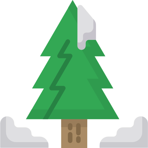 Pine tree icon