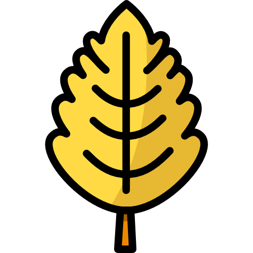 Leaf icon