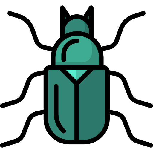 Beetle icon