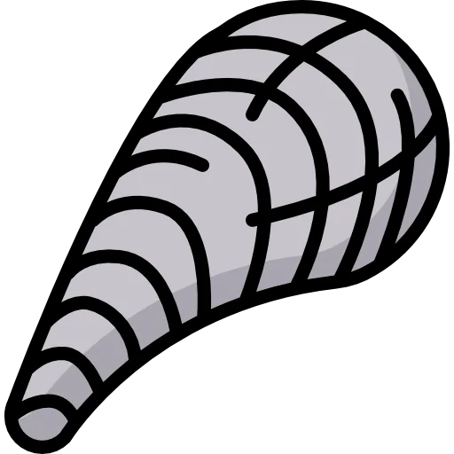 Seashell icon