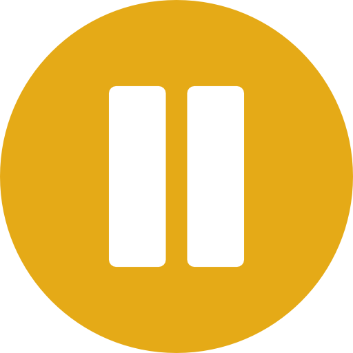 Pause icon