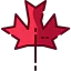 Maple leaf biểu tượng 64x64