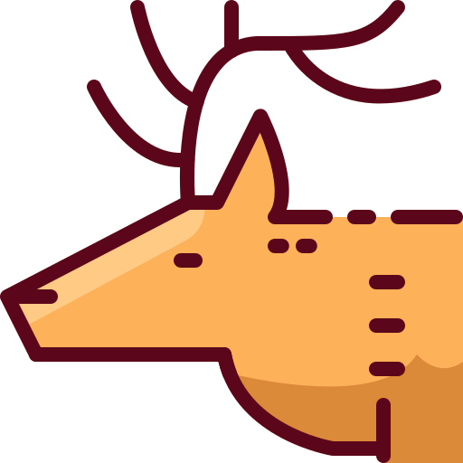 Deer 상