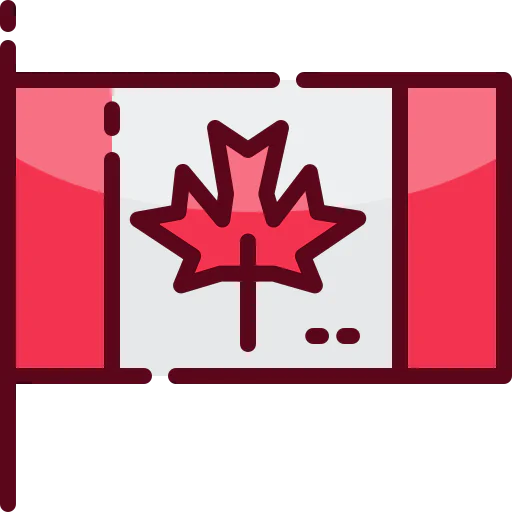 Flag icon