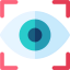 Eye recognition 图标 64x64