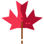 Maple leaf icon 64x64