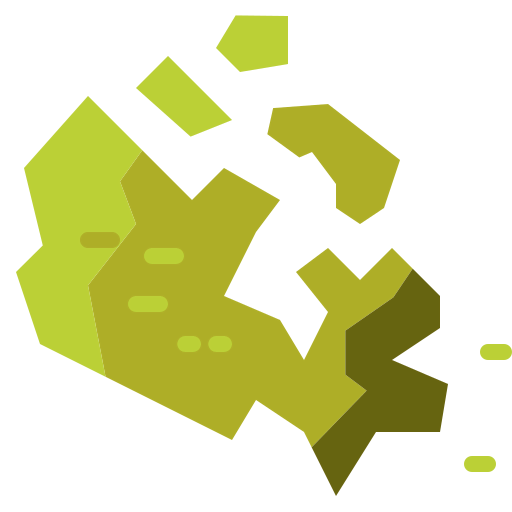 Map icon