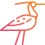 Bird 图标 64x64