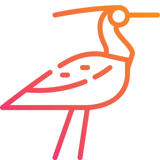 Bird icon