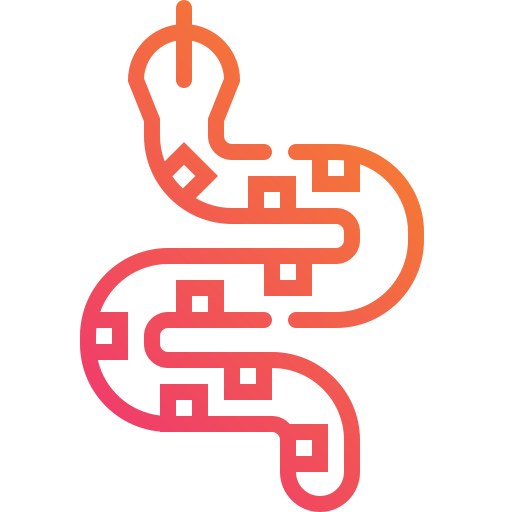 Snake icon