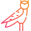 Owl 图标 64x64