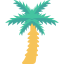 Coconut tree 图标 64x64